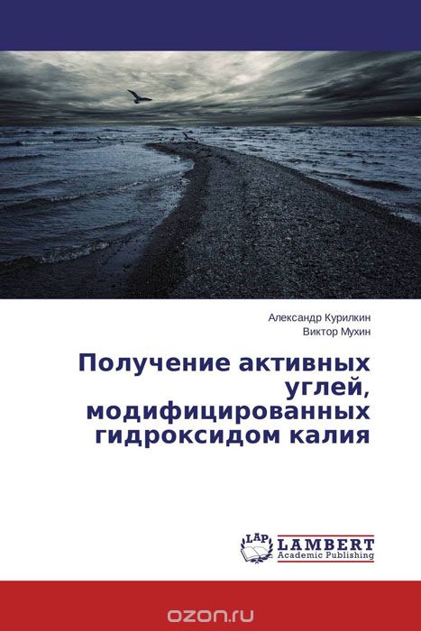 Скачать книгу "Получение активных углей, модифицированных гидроксидом калия, Александр Курилкин und Виктор Мухин"