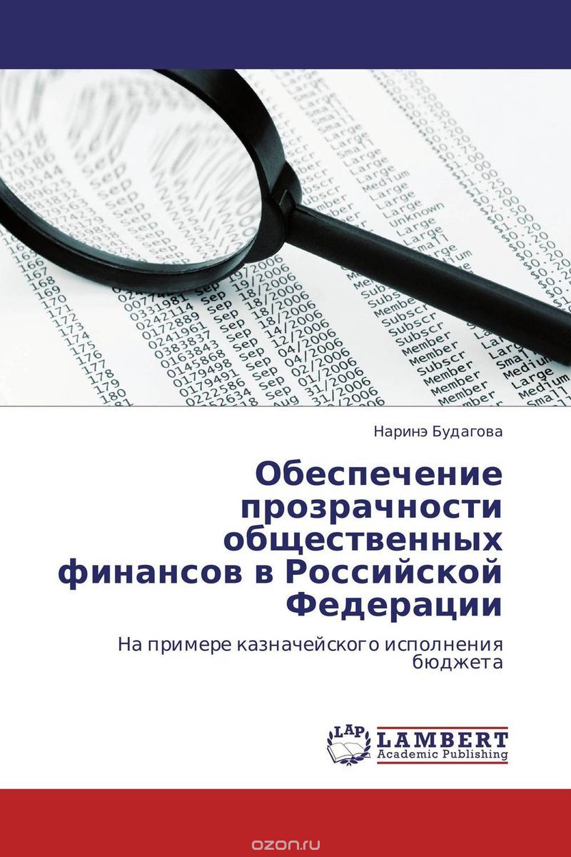 Обеспечение прозрачности общественных финансов в Российской Федерации, Наринэ Будагова