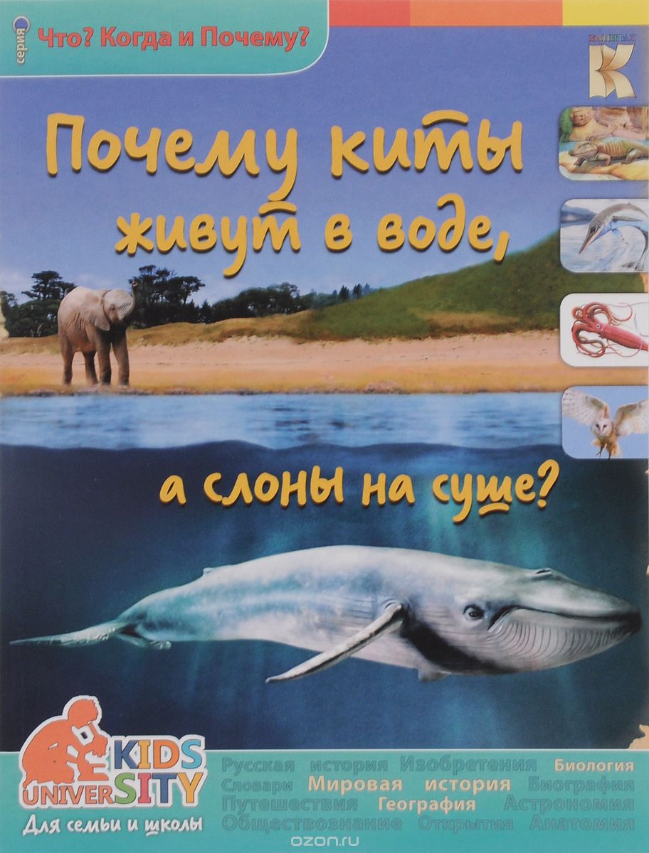 Скачать книгу "Почему киты живут в воде, а слоны на суше?, А. А. Евстигнеев"