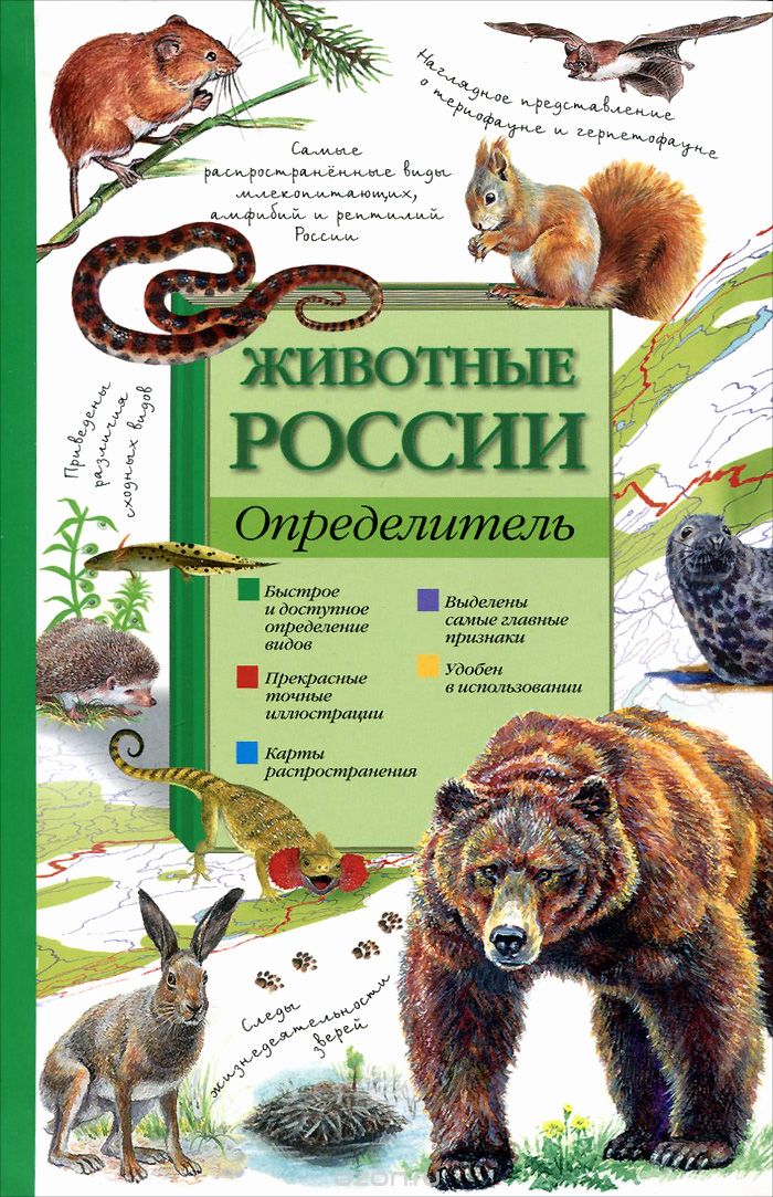 Скачать книгу "Животные России. Определитель, П. М. Волцит, Е. Ю. Целлариус"
