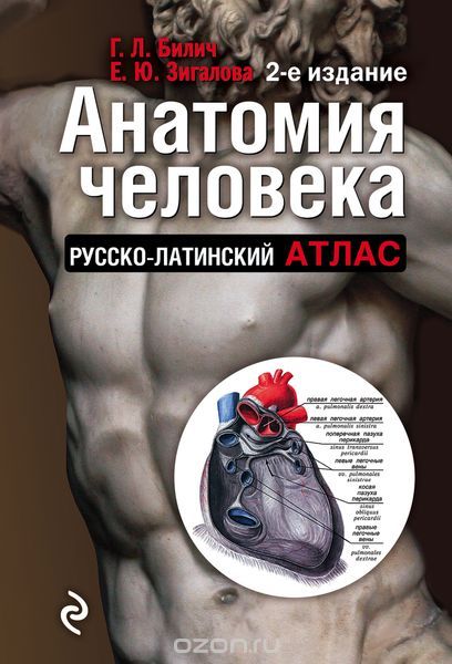 Анатомия человека: Русско-латинский атлас. 2-е издание, Билич Г.Л., Зигалова Е.Ю.