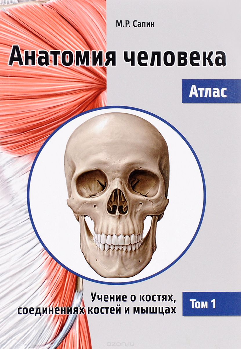 Скачать книгу "Анатомия человека. Атлас. В 3 томах. Том 1. Учение о костях, соединениях костей и мышцах. Учебное пособие, М. Р. Сапин"