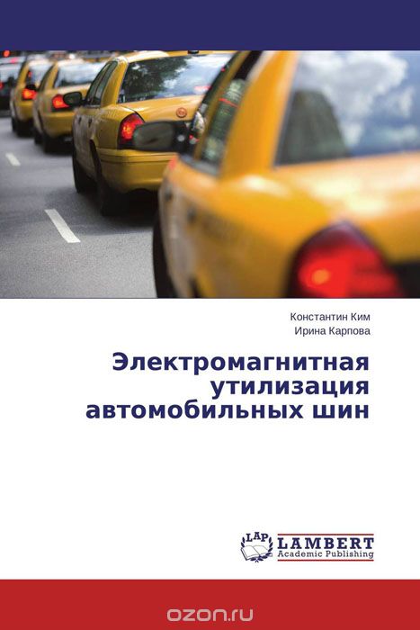 Электромагнитная утилизация автомобильных шин, Константин Ким und Ирина Карпова
