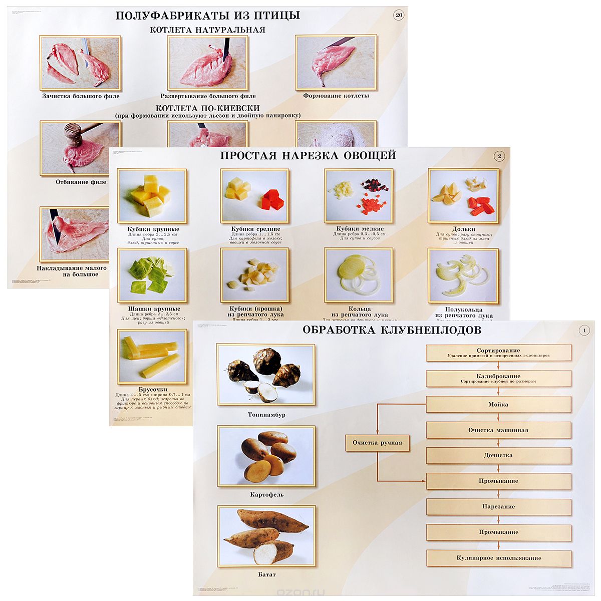 Скачать книгу "Кулинария. Механическая кулинарная обработка продуктов (комплект из 20 плакатов), В. П. Андросов"