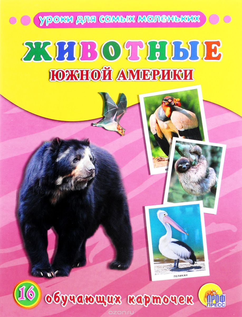 Животные Южной Америки (набор из 16 обучающих карточек)