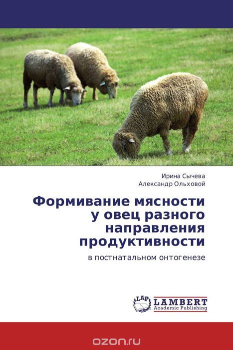 Формивание мясности у овец разного направления продуктивности, Ирина Сычева und Александр Ольховой