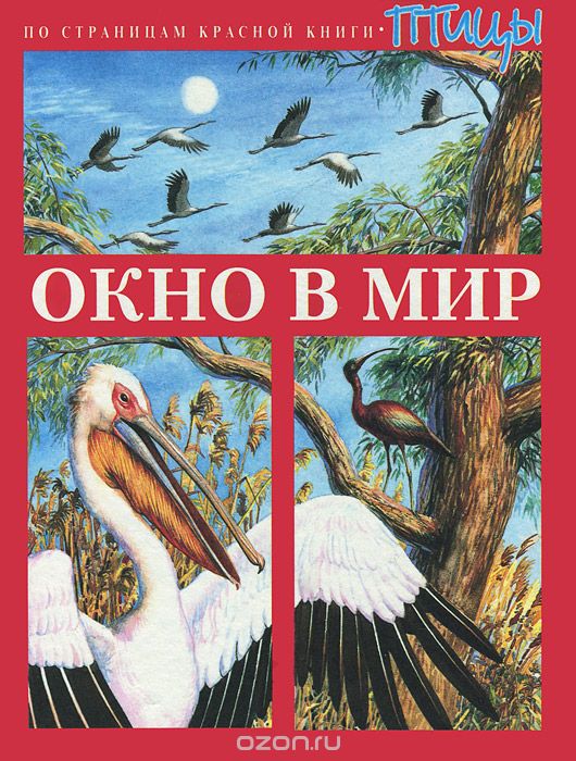 Скачать книгу "Окно в мир. По страницам красной книги. Птицы, М. В. Сороходова"