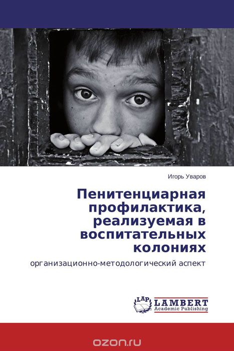 Скачать книгу "Пенитенциарная профилактика, реализуемая в воспитательных колониях, Игорь Уваров"
