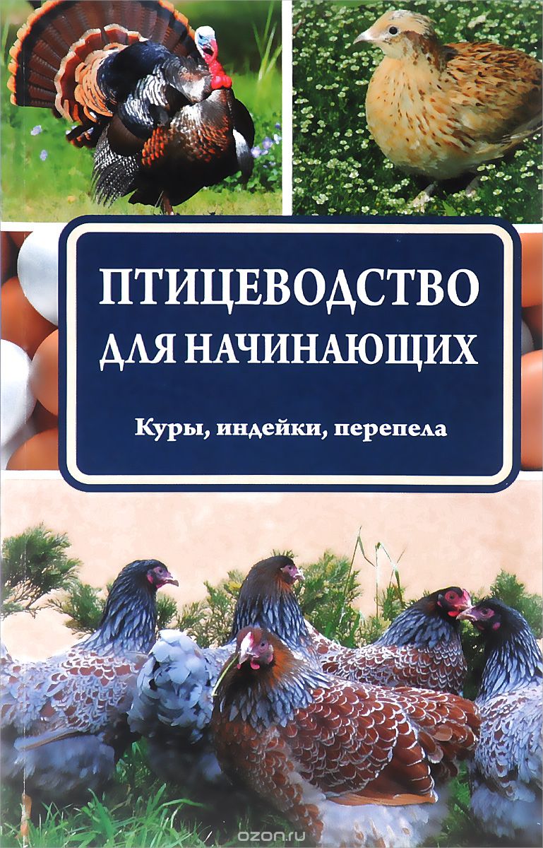 Скачать книгу "Птицеводство для начинающих. Куры, индейки, перепела, Э. И. Бондарев"