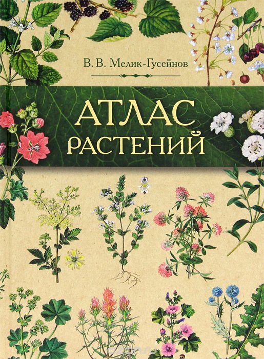 Скачать книгу "Атлас растений. Растения в народной медицине России и сопредельных государств, В. В. Мелик-Гусейнов"