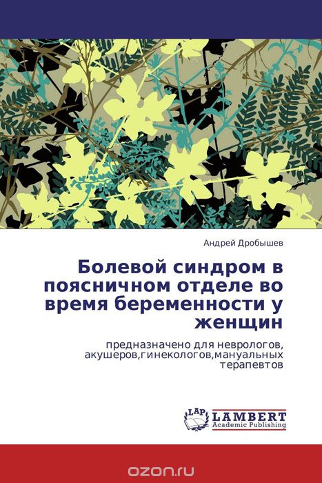 Скачать книгу "Болевой синдром в поясничном отделе во время беременности у женщин, Андрей Дробышев"