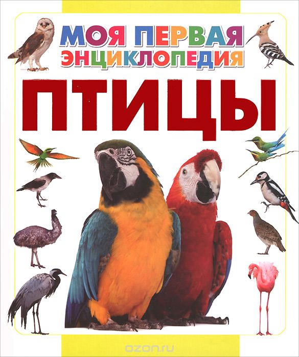 Скачать книгу "Птицы, Д. В. Кошевар"
