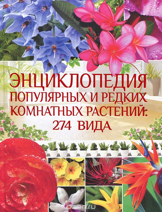 Энциклопедия популярных и редких комнатных растений. 274 вида, О. В. Яковлева