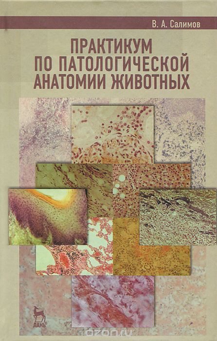 Скачать книгу "Практикум по патологической анатомии животных, В. А. Салимов"