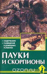 Скачать книгу "Пауки и скорпионы, А. Е. Чегодаев"